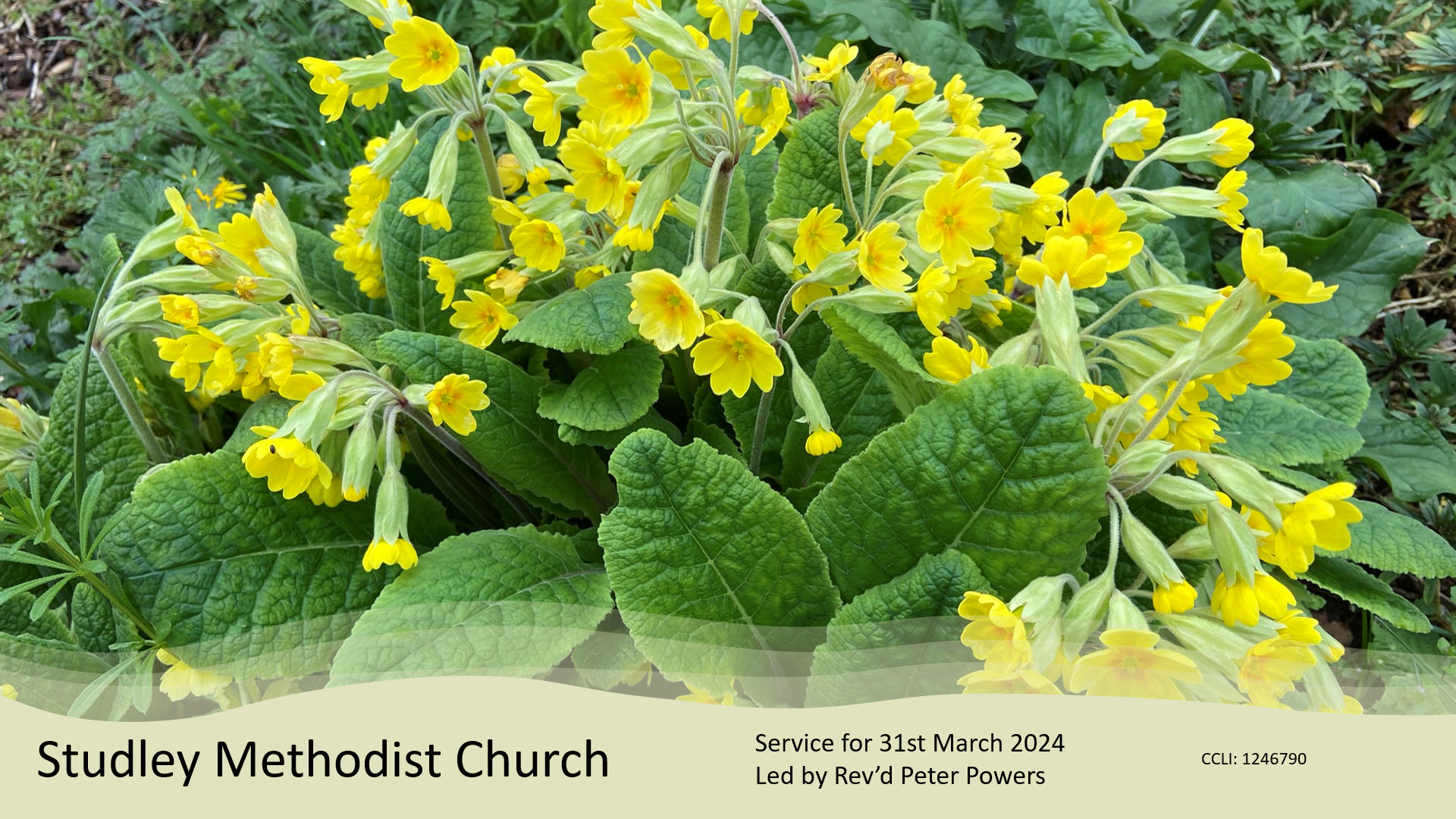 Service for Easter Sunday 31st March 2024