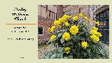 Service for 26th October 2025