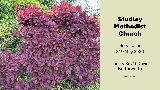 Service for 31st May 2026